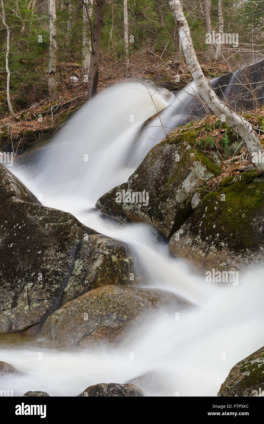 Cascata lungo Clough miniera Brook, un affluente del fiume perso, in stretto parente tacca di Woodstock, New Hampshire USA. Foto Stock