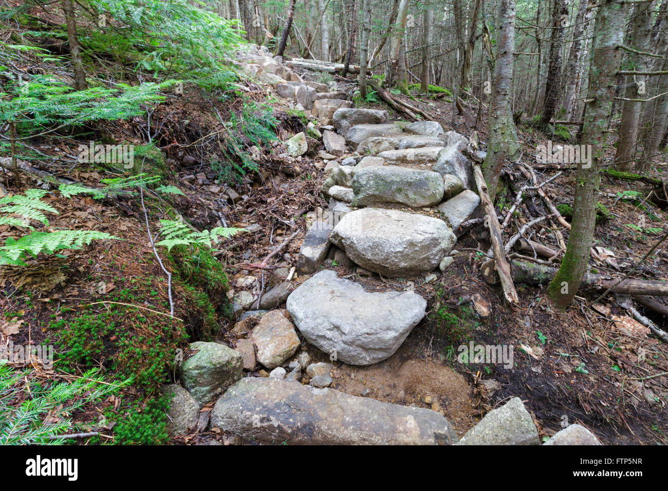 Montare Tecumseh - pendio erosione vicino a gradini in pietra lungo il Mt sentiero Tecumseh in Waterville Valley, New Hampshire durante i mesi estivi. Foto Stock