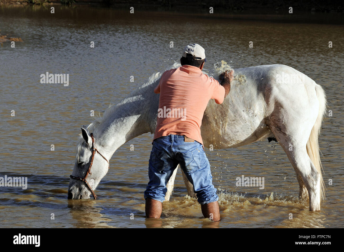 La balneazione cowboy a cavallo presso il parco dello stato padre Joao Cancio Foto Stock