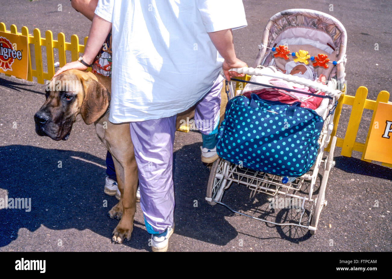 Una donna in passeggiata con un passeggino, un cucciolo di cane in una carrozza, una babysitter, vista posteriore Foto Stock