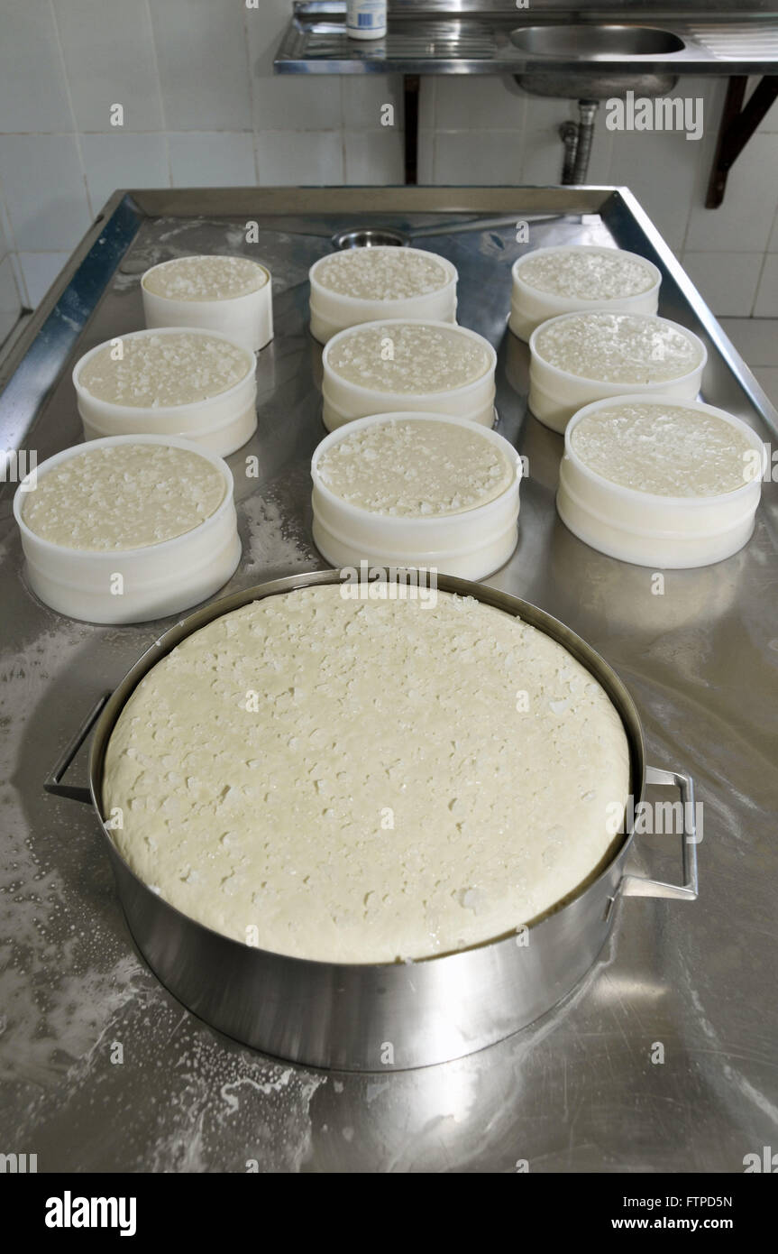 Produzione di formaggi Canastra Real Foto Stock