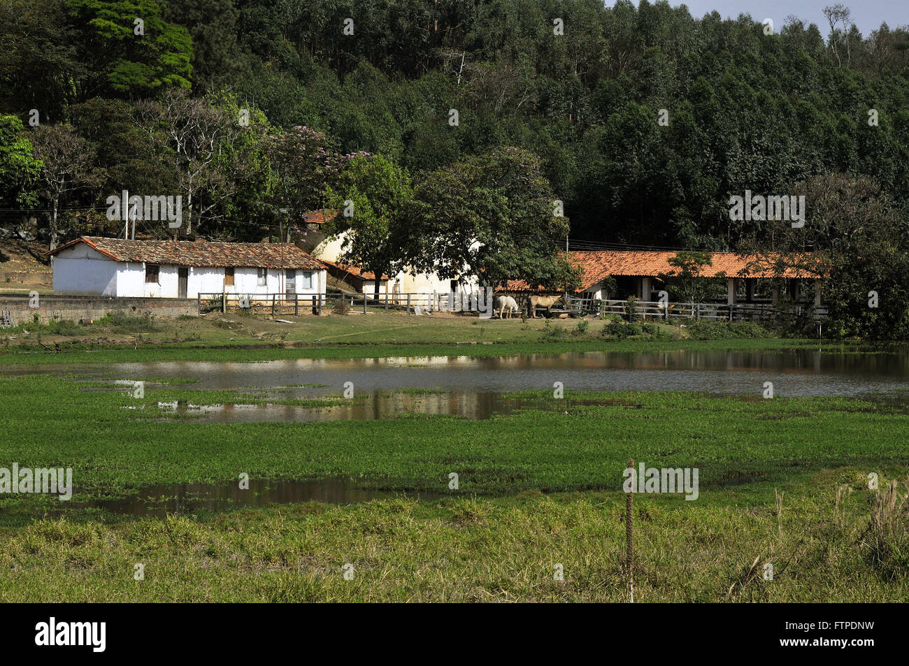 Paesaggio rurale in Joaquim Egidio - Distretto di Campinas - Sao Paulo Foto Stock