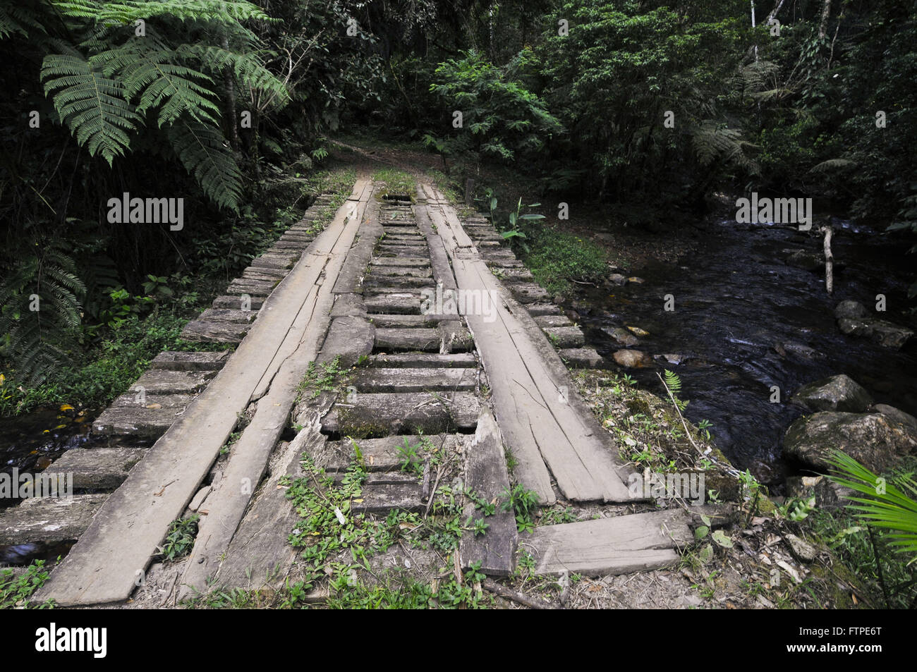 Ponte sul fiume nella Riserva Naturale Park Zizo alla sommità del Paranapiacaba Foto Stock