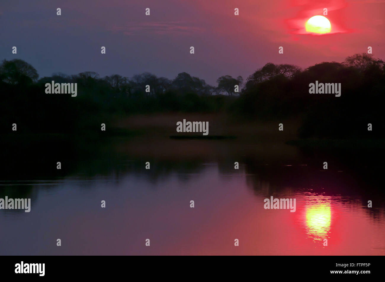 Paesaggio in stagno per ammirare i tramonti in Pantanal Foto Stock