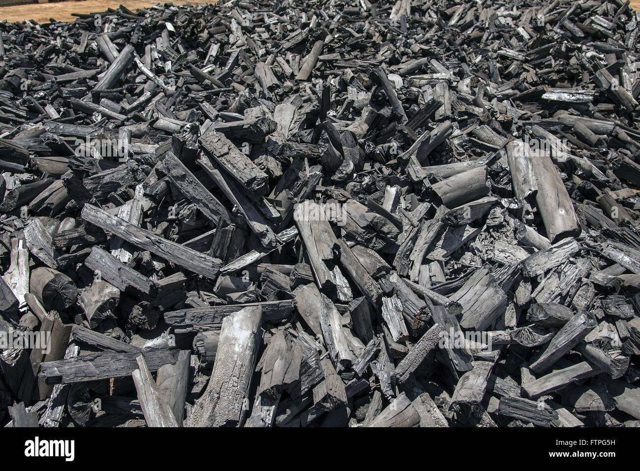 Le linee rimanenti trasformato in carbone di legna su carbone di legna Foto Stock