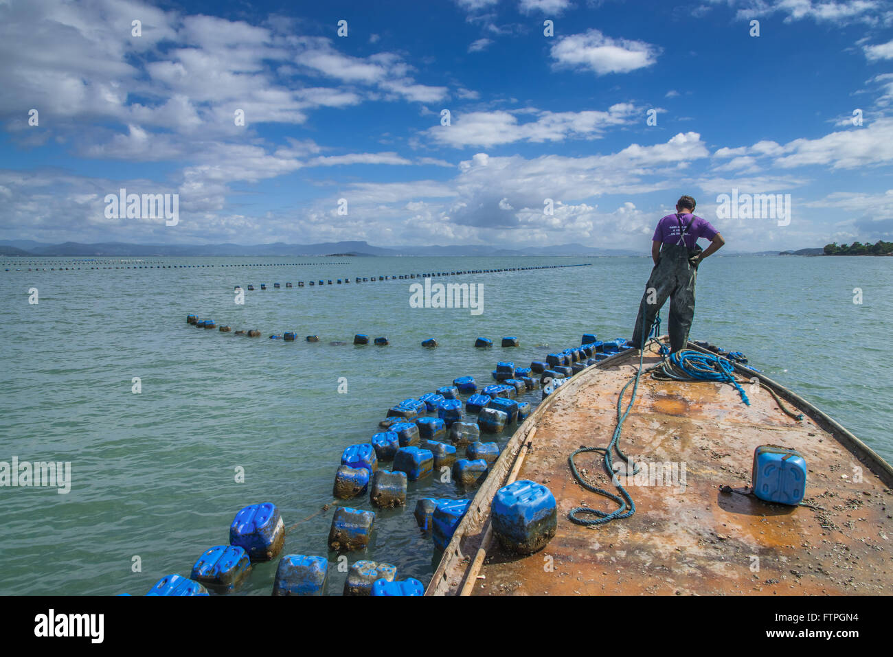 Azienda agricola marino lavoratore nella coltivazione di ostriche e vongole Foto Stock
