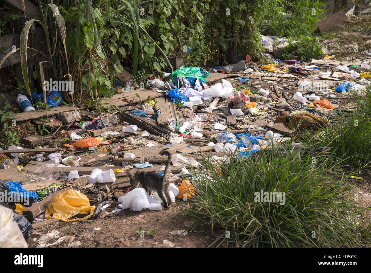 Gettati nel cestino in natura da parte dei residenti di Vila Gutierrez Foto Stock