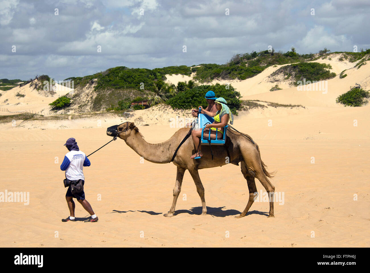 Giro turistico con dromedario tirato da parte dei lavoratori nelle dune della spiaggia di Genipabu Foto Stock