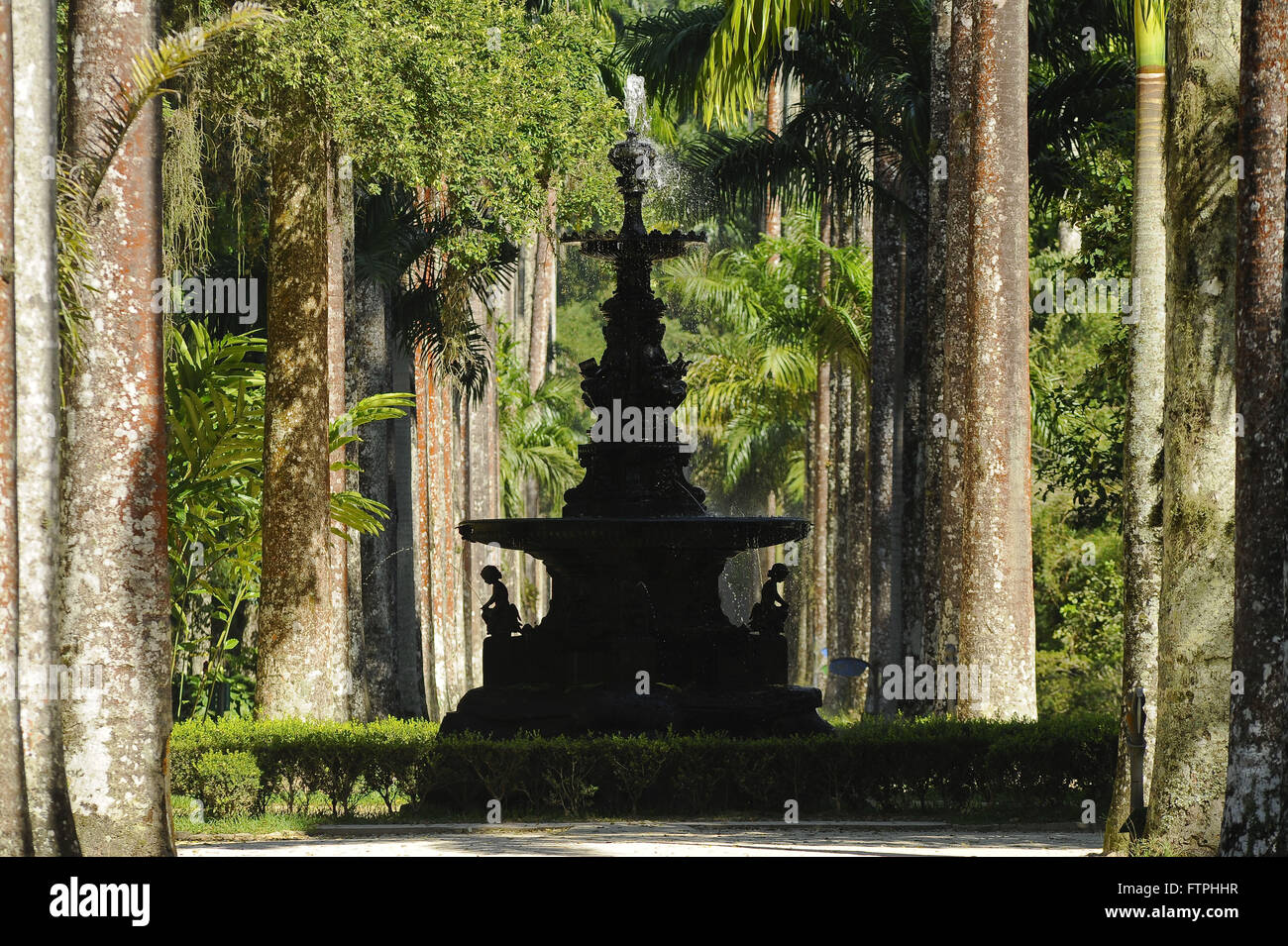 Imperial palme e fontana nel giardino botanico della città di Rio de Janeiro Foto Stock