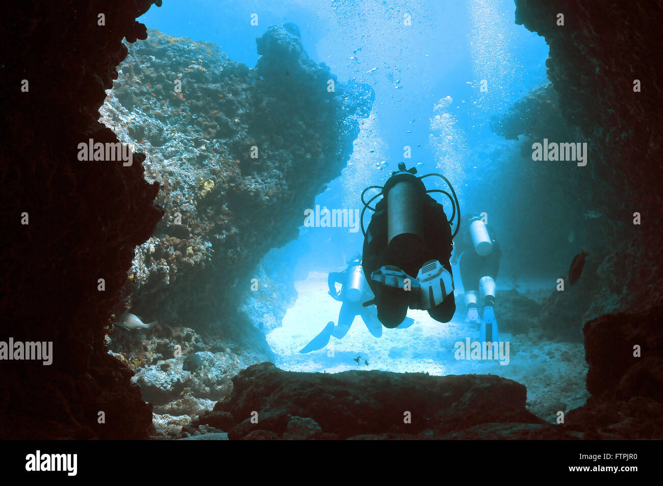 Foto subacquee della costa brasiliana - immersioni ricreative a Fernando de Noronha Foto Stock
