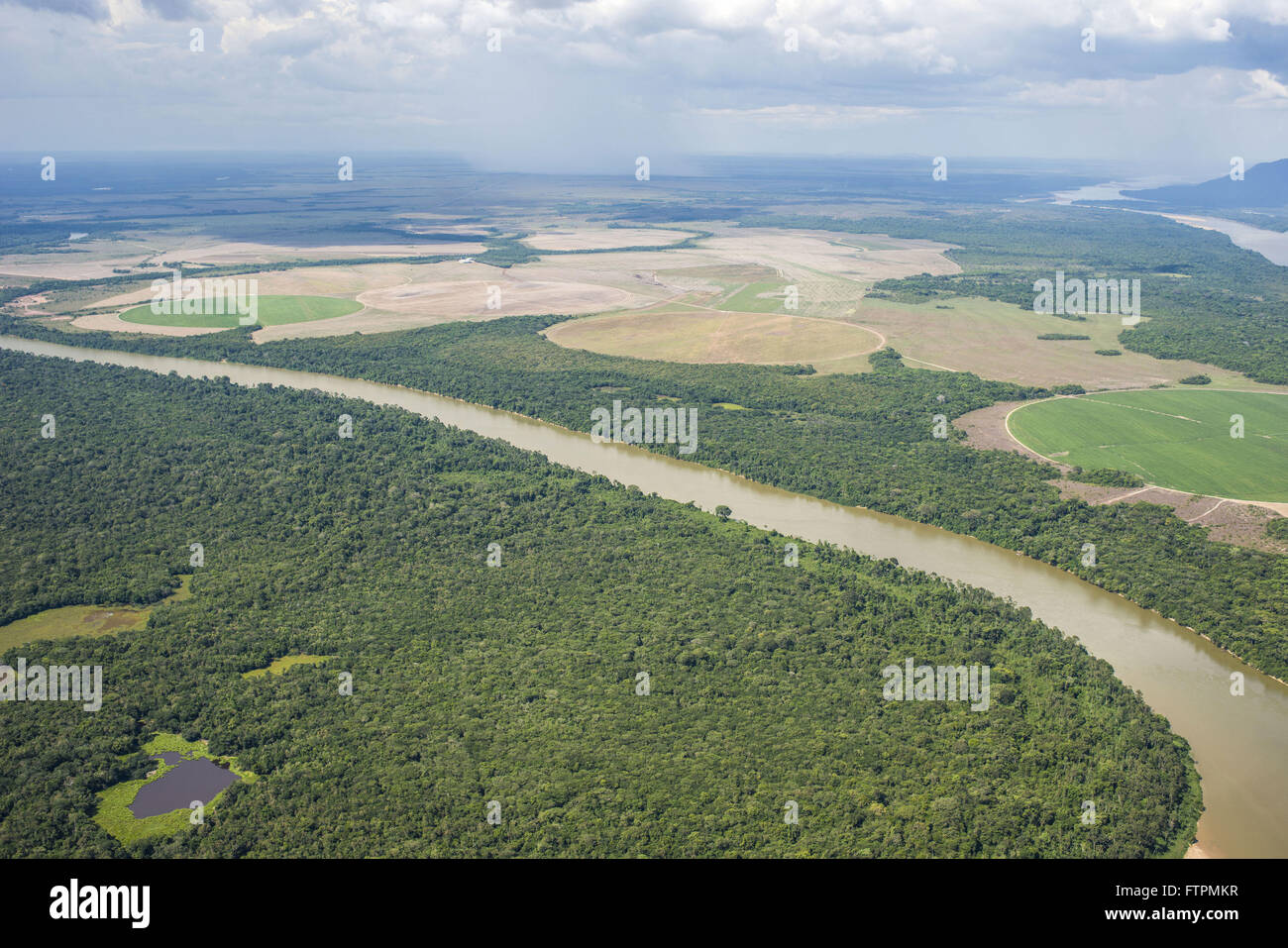 Vista aerea del Fiume Bianco e la foresta amazzonica con aree di sdoganamento per l'agricoltura Foto Stock