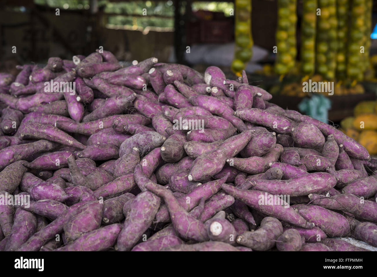 Patate dolci venduti sul produttore Fiera - Mercato nel centro della città Foto Stock