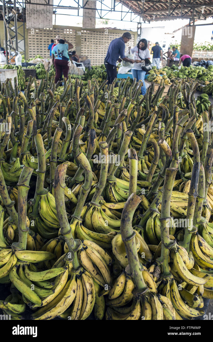 Le banane in vendita in il produttore Fiera - Mercato nel centro della città Foto Stock