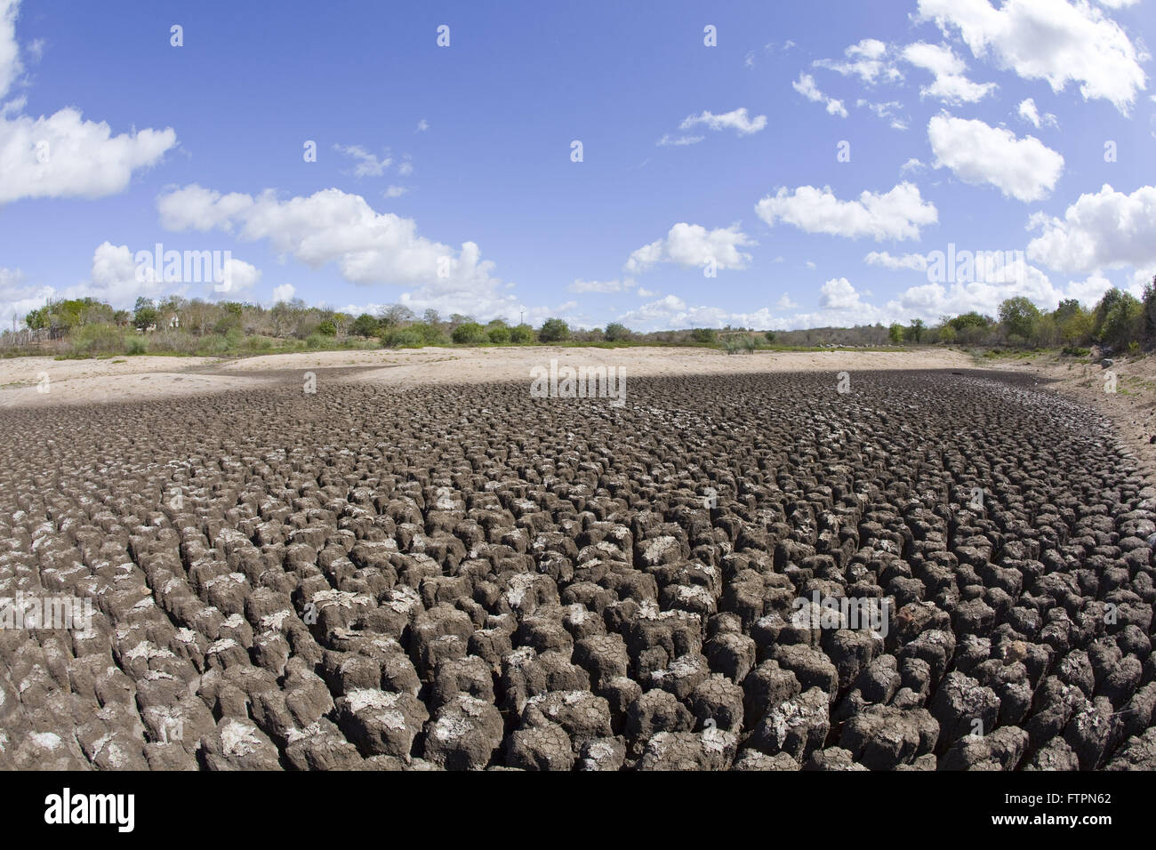 Dettagli riverbed testa di vacca - a secco a causa della siccità Foto Stock