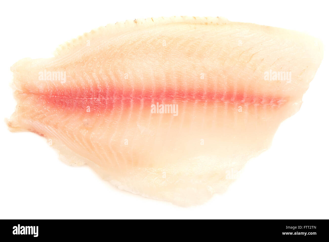 Materie di filetto di pesce isolato su sfondo bianco Foto Stock