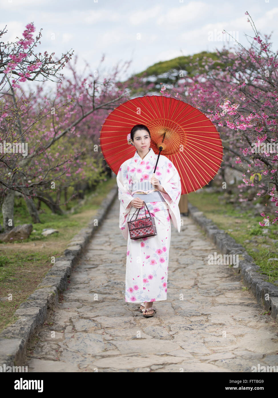 Giovani asiatici ( / ) Caucasica donna giapponese in uno yukata con la fioritura dei ciliegi a Castello Nakijin, Okinawa Foto Stock