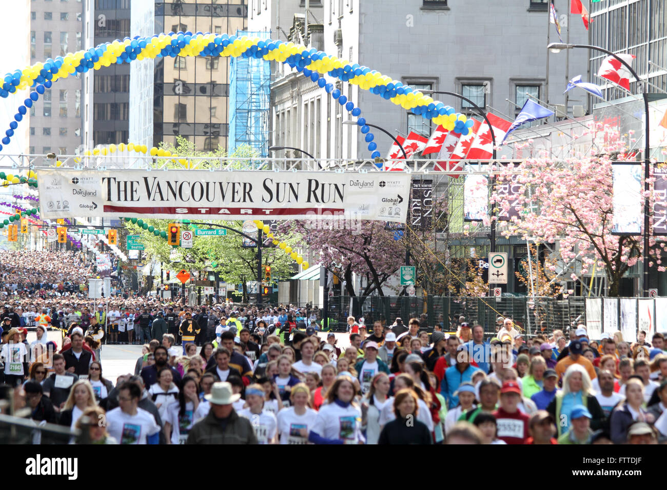 VANCOUVER, Canada - 21 Aprile 2013 - Guide in annuale di Vancouver Sun eseguire lascia la linea di partenza durante la prossima onda attende. Foto Stock