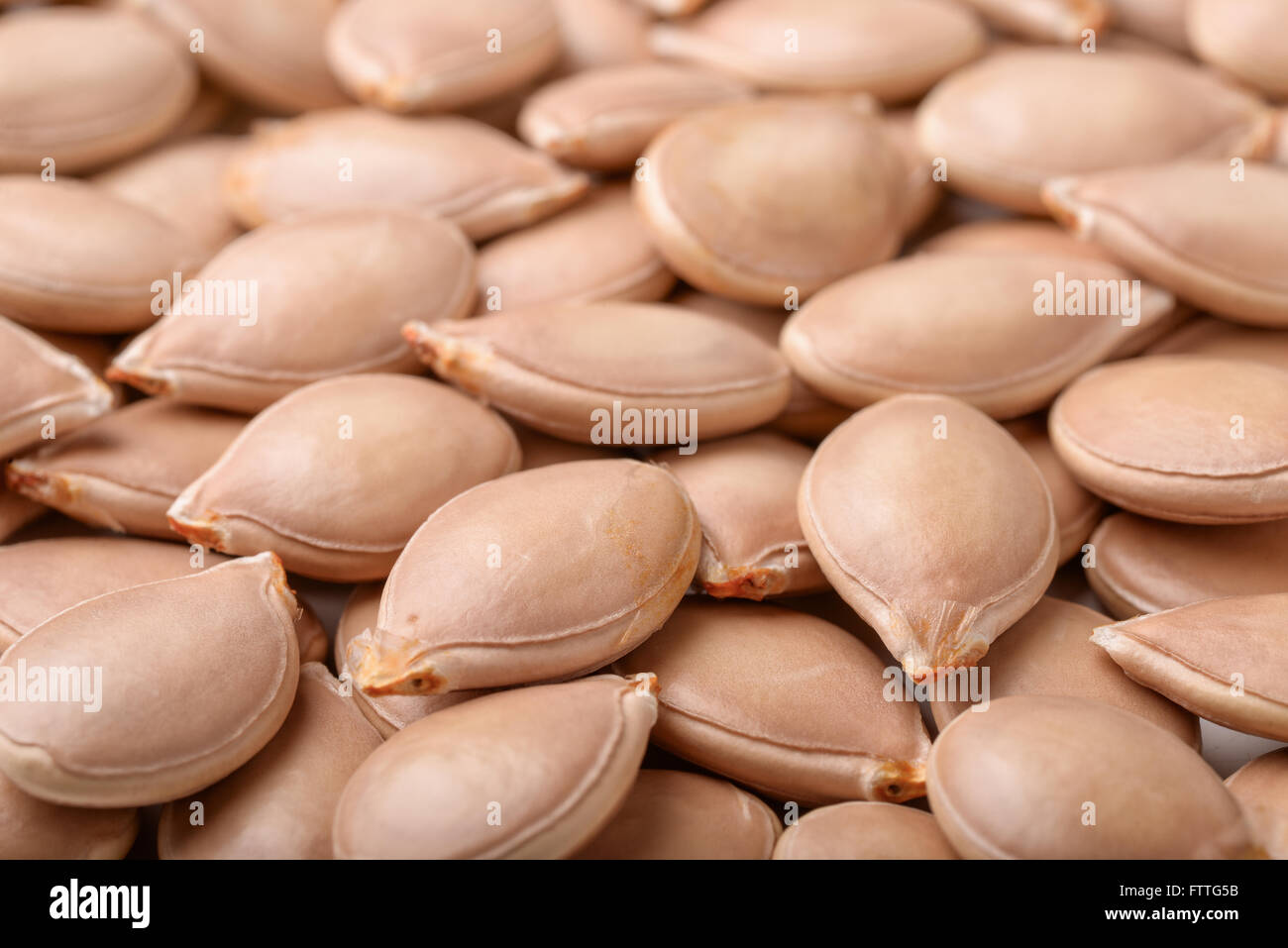 Close up di semi di zucca Foto Stock