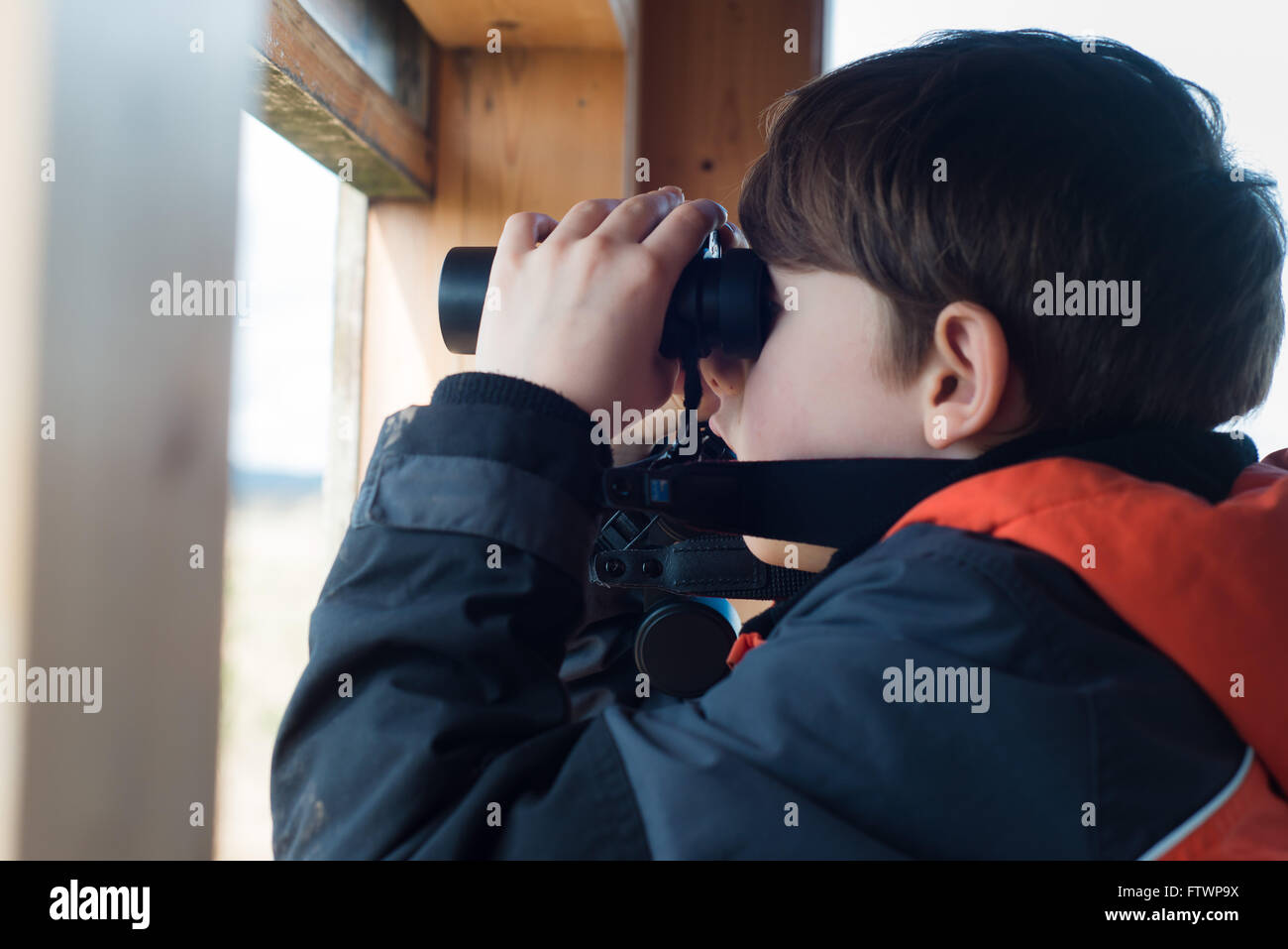 Bambino guardando fuori del binocolo al rifugio di uccelli Foto Stock