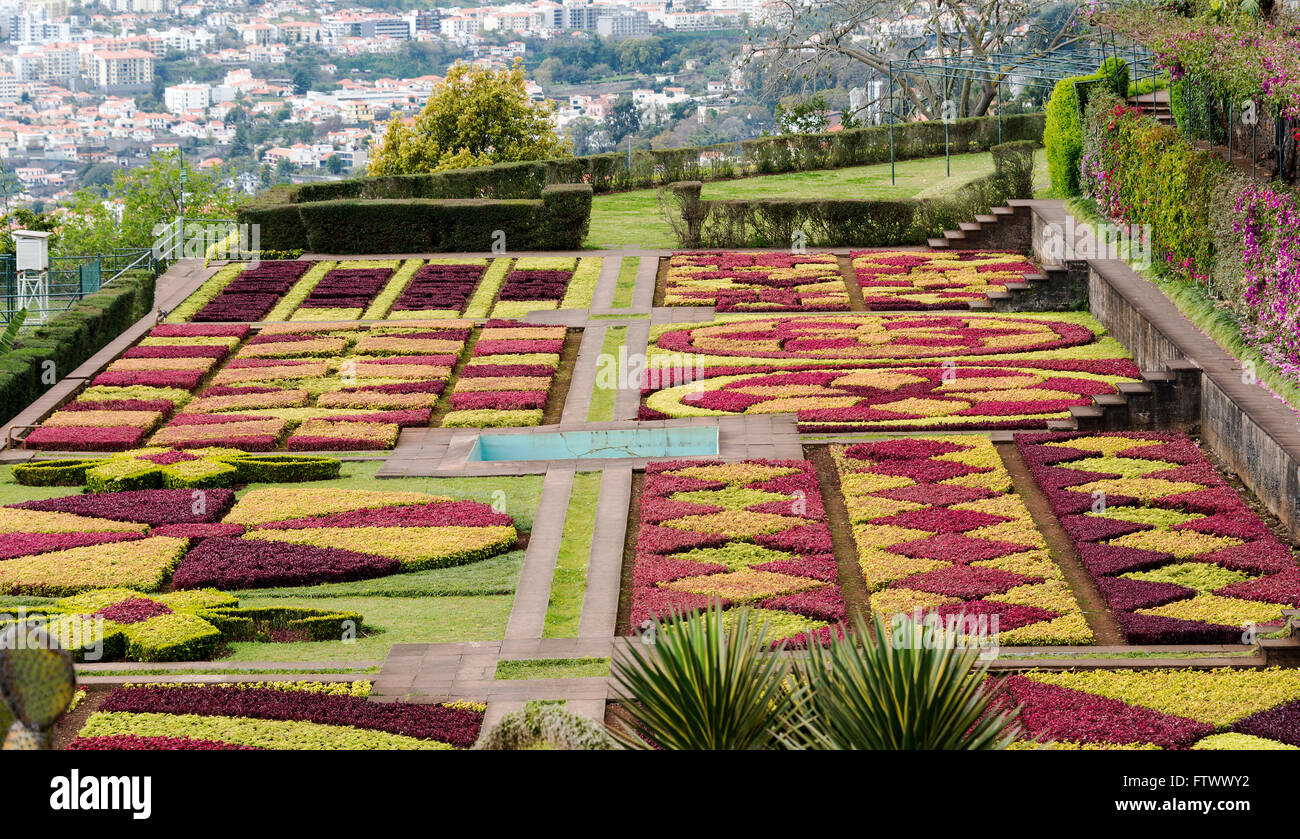Giardino botanico di Funchal sull'isola portoghese di Madeira Foto Stock