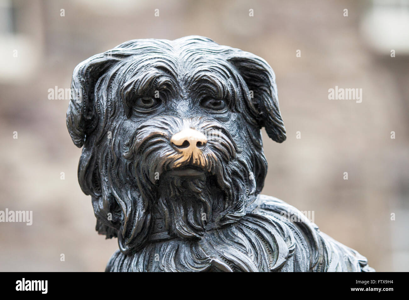 Una statua di Greyfriars Bobby a Edimburgo, Scozia. Bobby era un Skye Terrier che presumibilmente ha trascorso 14 anni custodisce la tomba Foto Stock