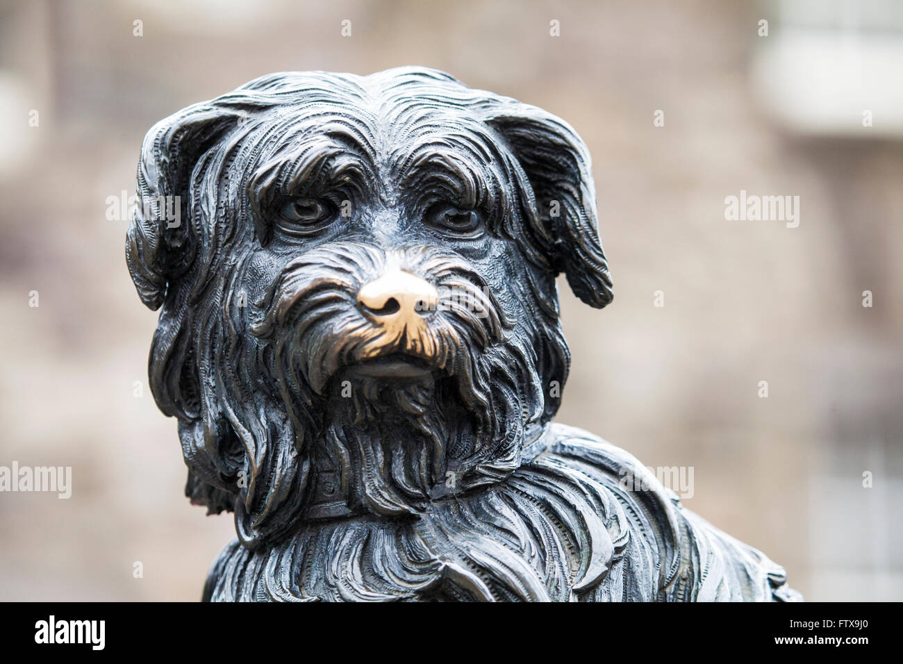 Una statua di Greyfriars Bobby a Edimburgo, Scozia. Bobby era un Skye Terrier che presumibilmente ha trascorso 14 anni custodisce la tomba Foto Stock