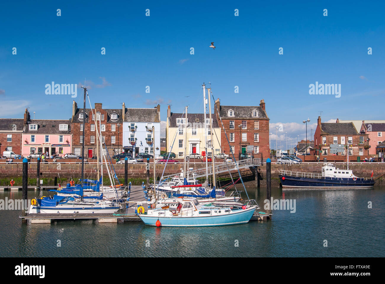 Il porto a Arbroath in Scozia Angus. Foto Stock