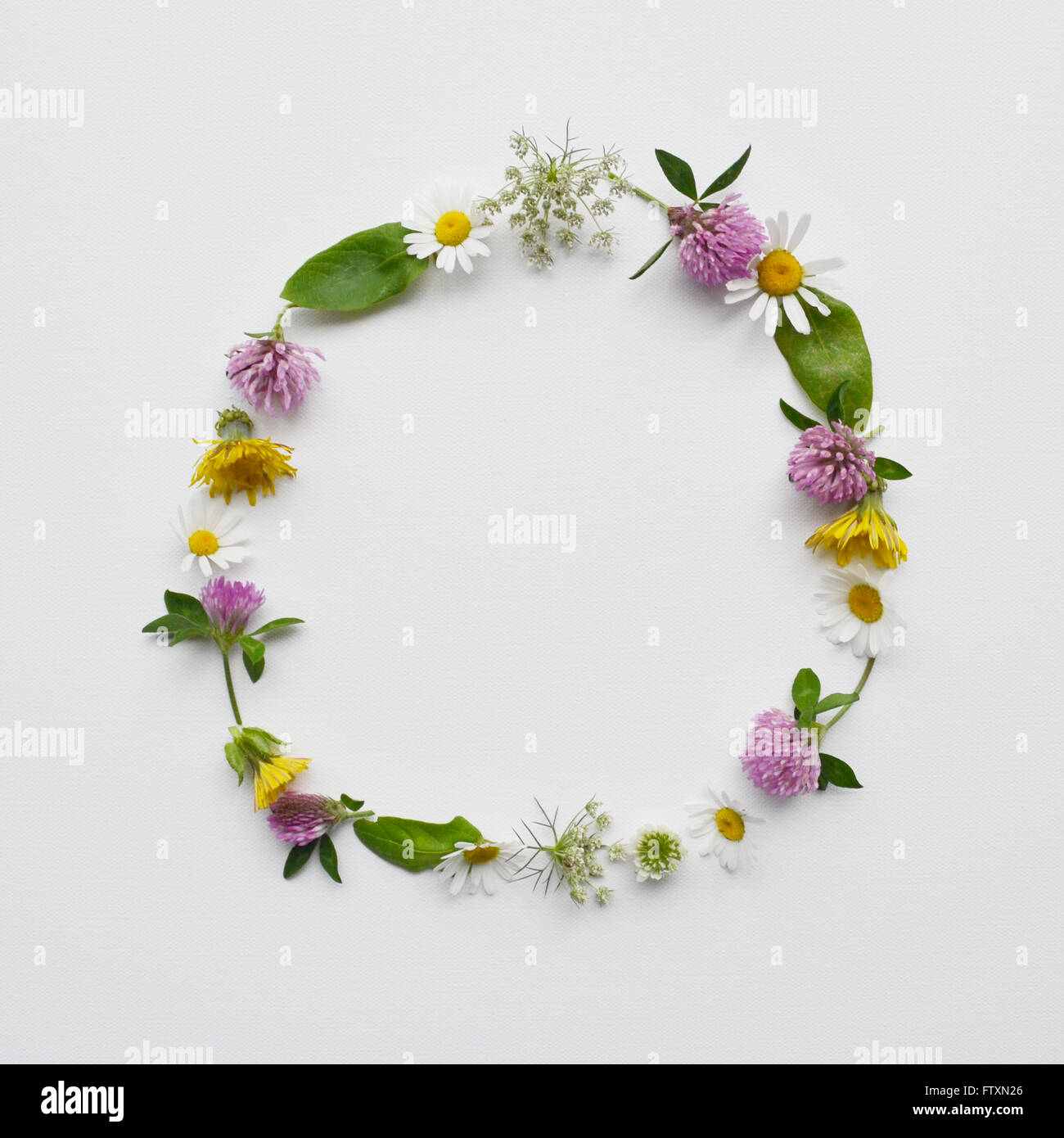 Ghirlanda floreale realizzato da fiori selvaggi e foglie Foto Stock