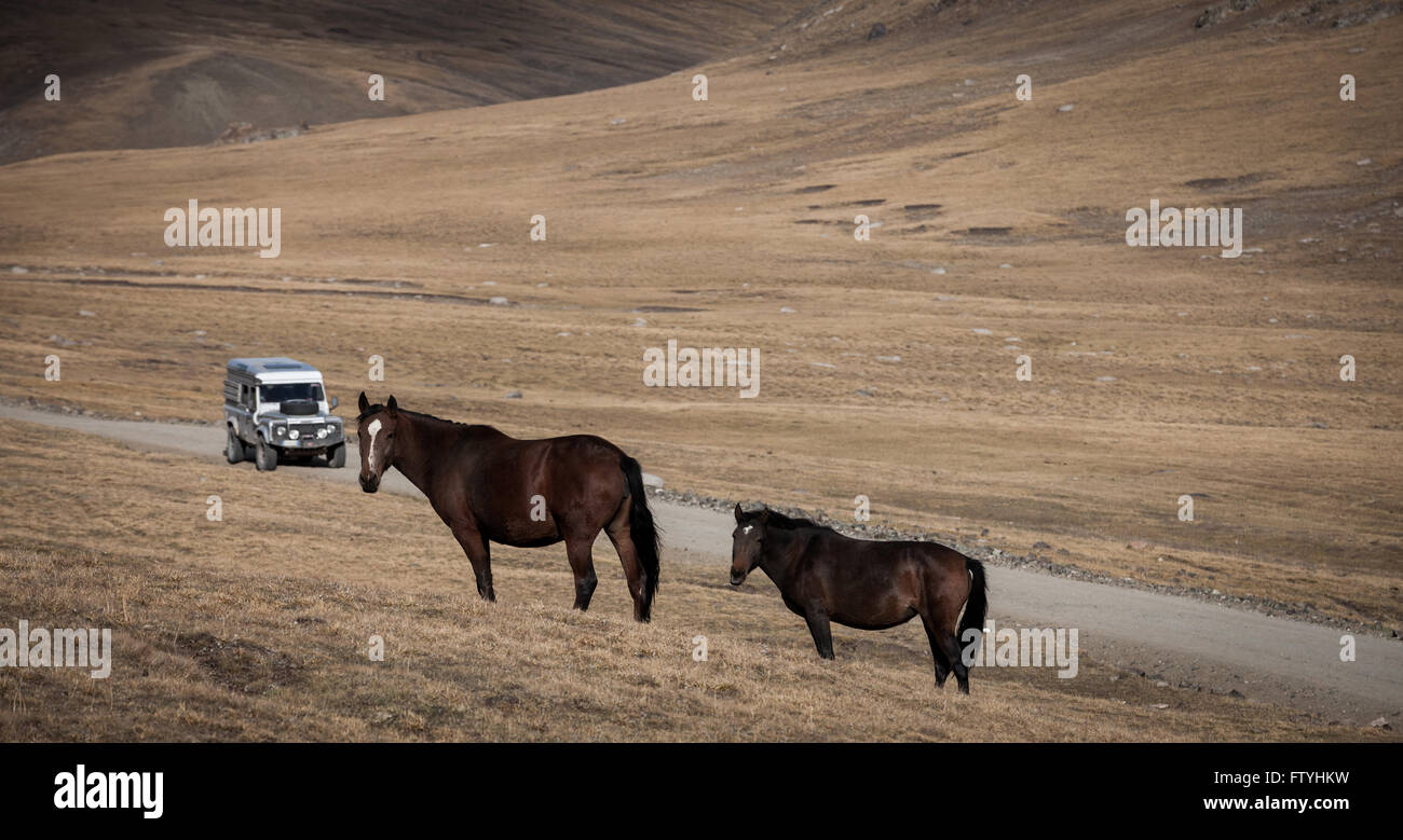 In Kirghizistan, Kirghizistan, cavalli, 4WD Foto Stock