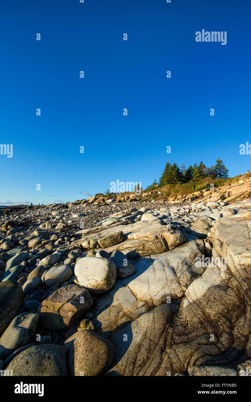 Il paesaggio costiero, Schoodic Peninsula, Parco Nazionale di Acadia, Maine, Stati Uniti d'America Foto Stock
