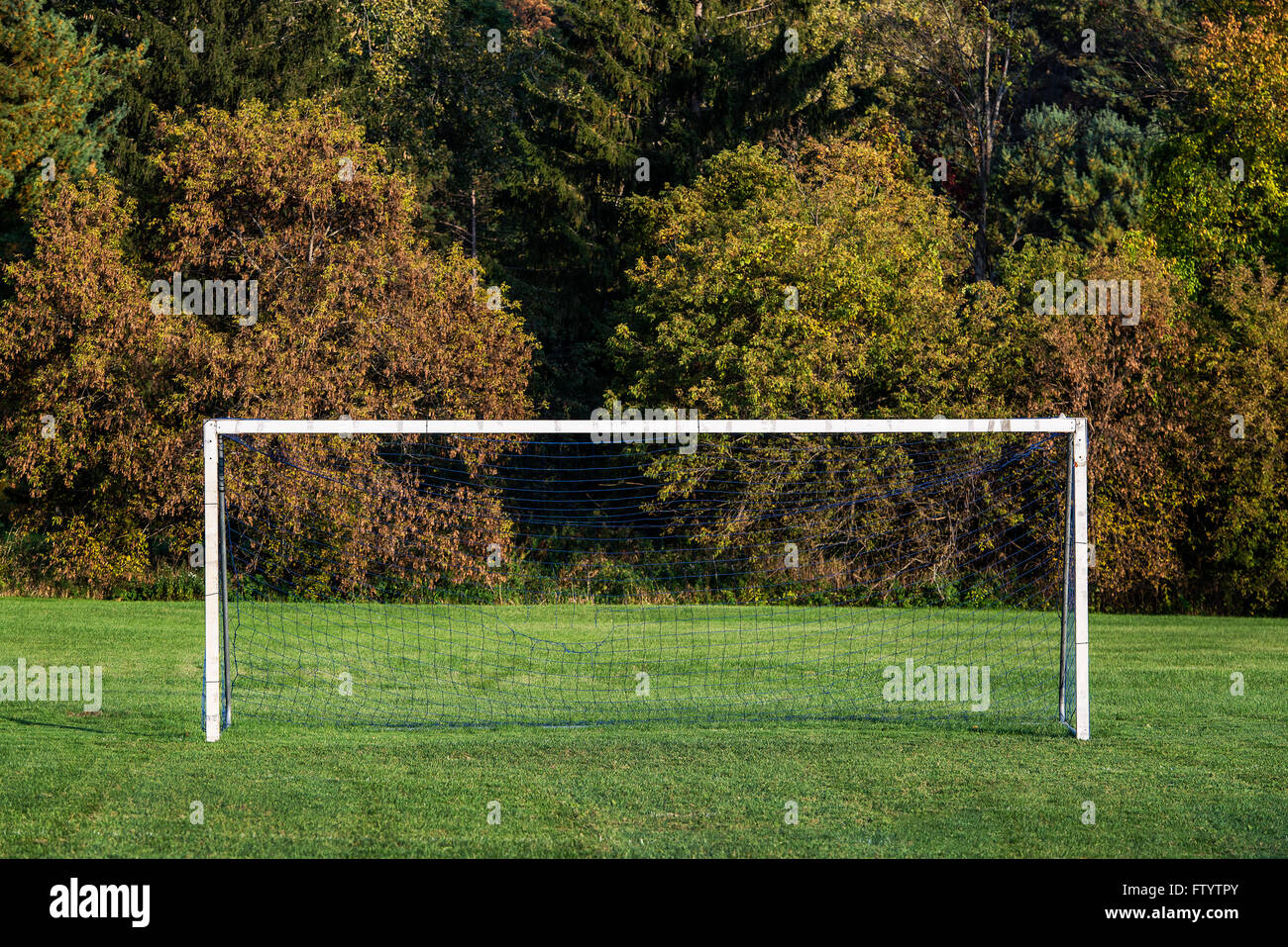 Campo di calcio e l'obiettivo. Foto Stock