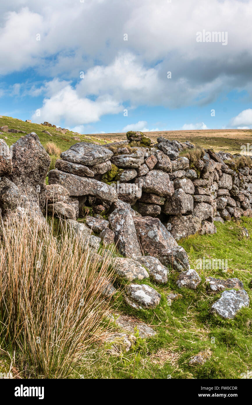 Paesaggio al Dartmoor National Park, Devon, Inghilterra, Regno Unito Foto Stock