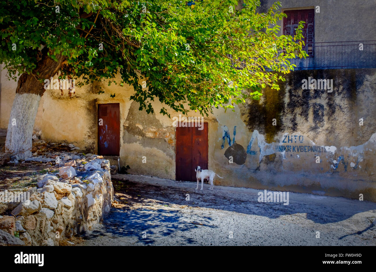 Gerolimenas pittoresca strada tranquilla scena nel Peloponneso, Grecia, mostrando il cane e abitazione Foto Stock