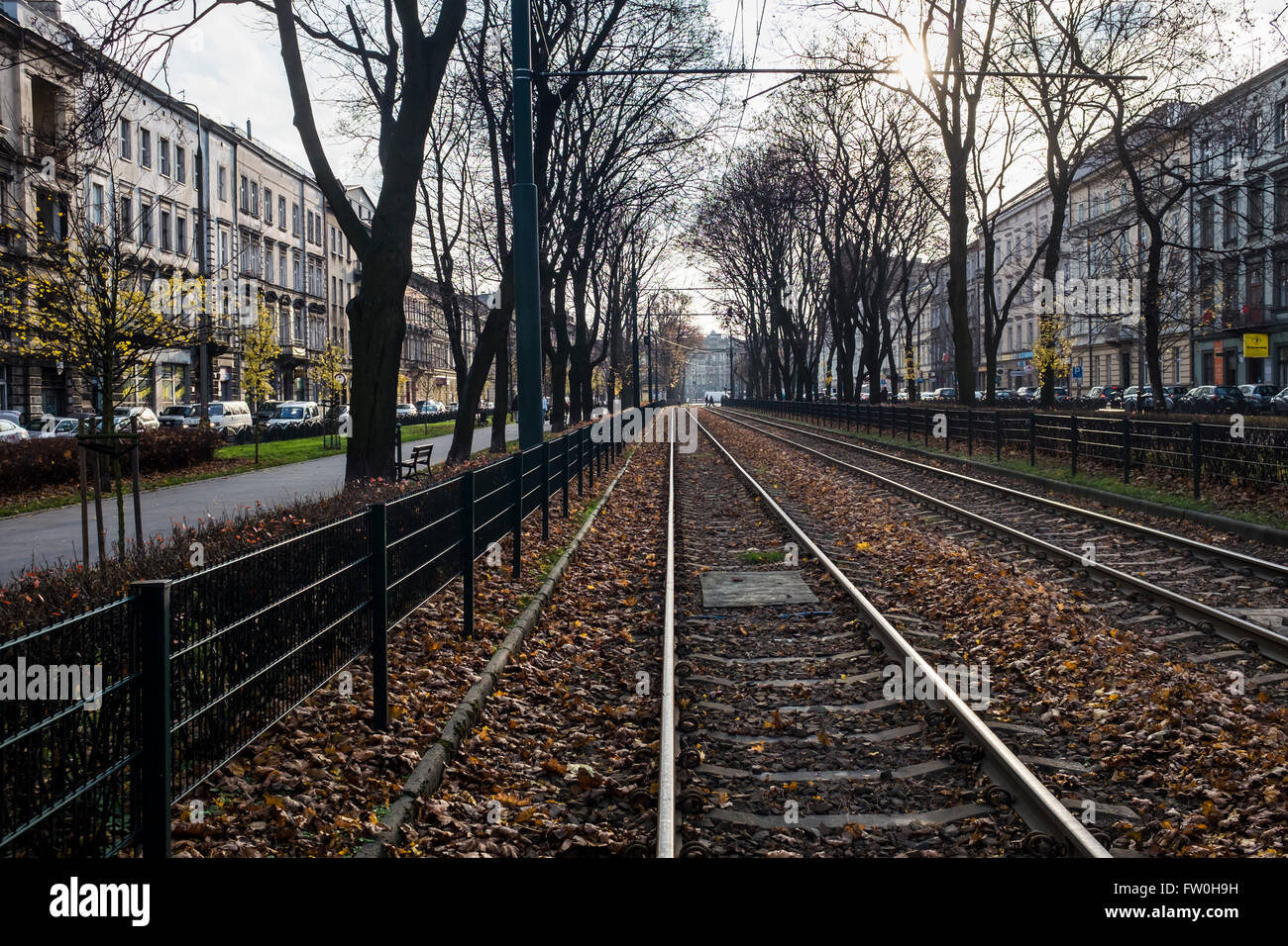 Le linee di tram su Dietla main street, Cracovia, Piccola Polonia Foto Stock