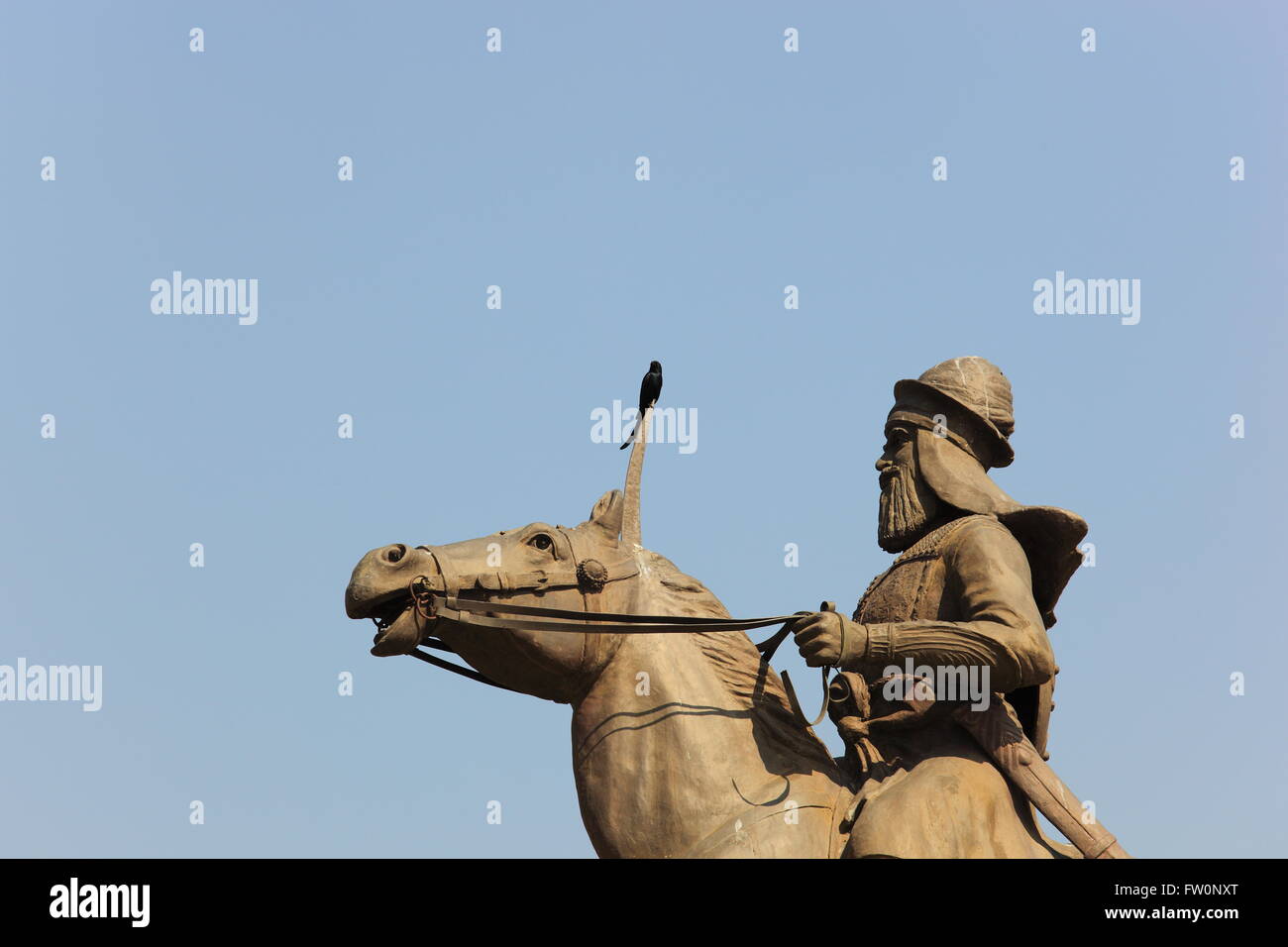 Un Nero Drongo posatoi sulla spada di un montato guerriero Sikh statua presso il babà Banda Singh Bahadur memorial in Punjab (India). Foto Stock