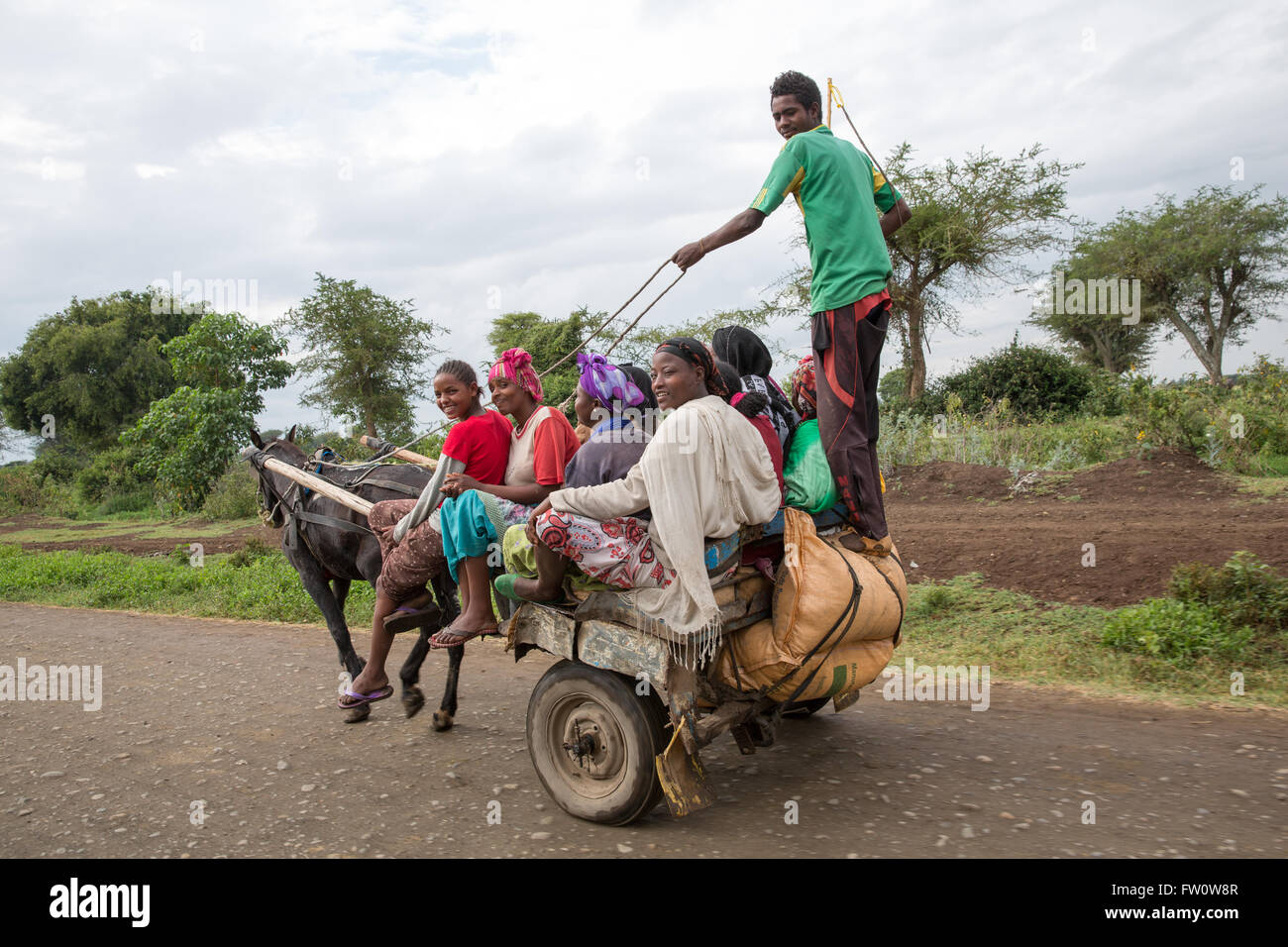 Meki Town, Etiopia, Ottobre 2013: Donne giorno operai prendere un cavallo carrello per lavorare su Meki fiume aziende irrigue. Foto Stock