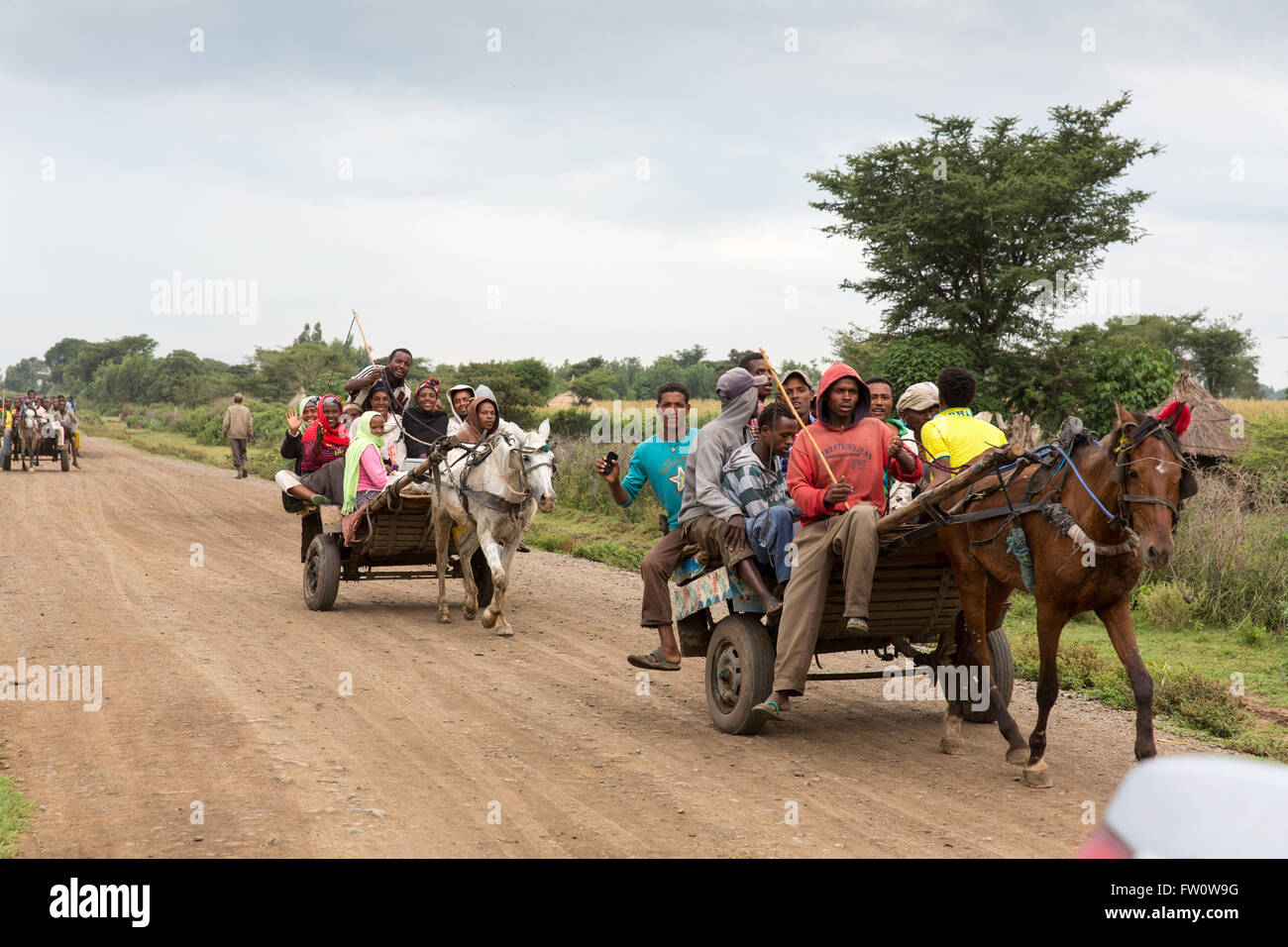 Meki Town, Etiopia, Ottobre 2013: Donne giorno operai prendere un cavallo carrello per lavorare su Meki fiume aziende irrigue. Foto Stock