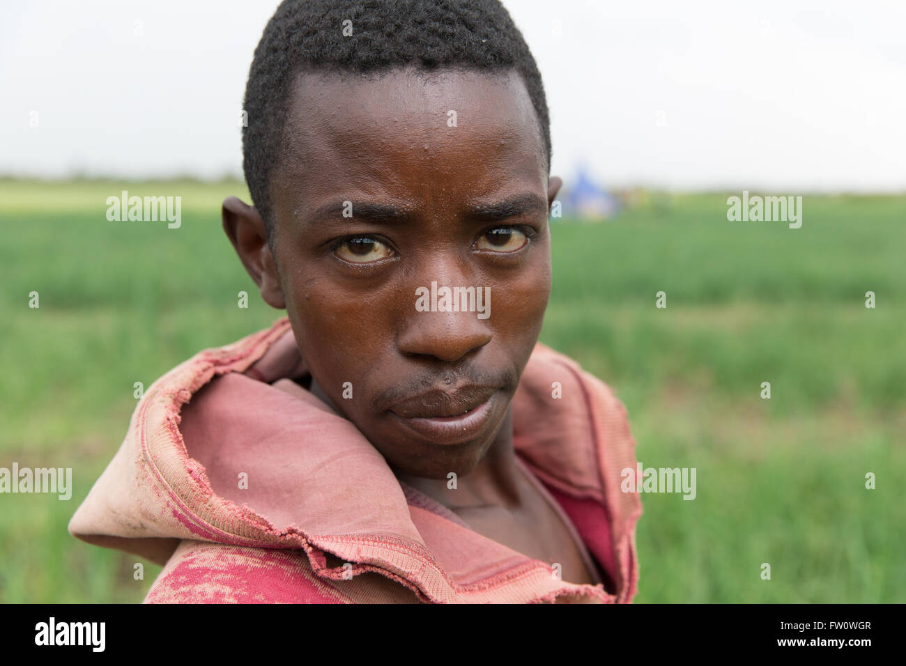 Meki River Delta, Etiopia, ottobre 2013 Tamirat Tage, 22, funziona come un giorno operaio weeding cipolle. Foto Stock