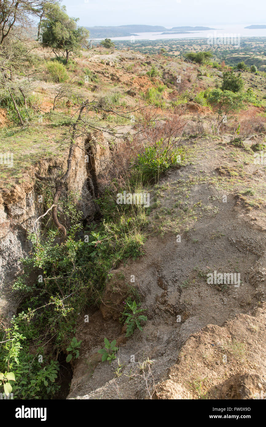 Alutu Ridge, Lago Langano, Etiopia, ottobre 2013 burrone erosione causata dalla deforestazione. Foto Stock