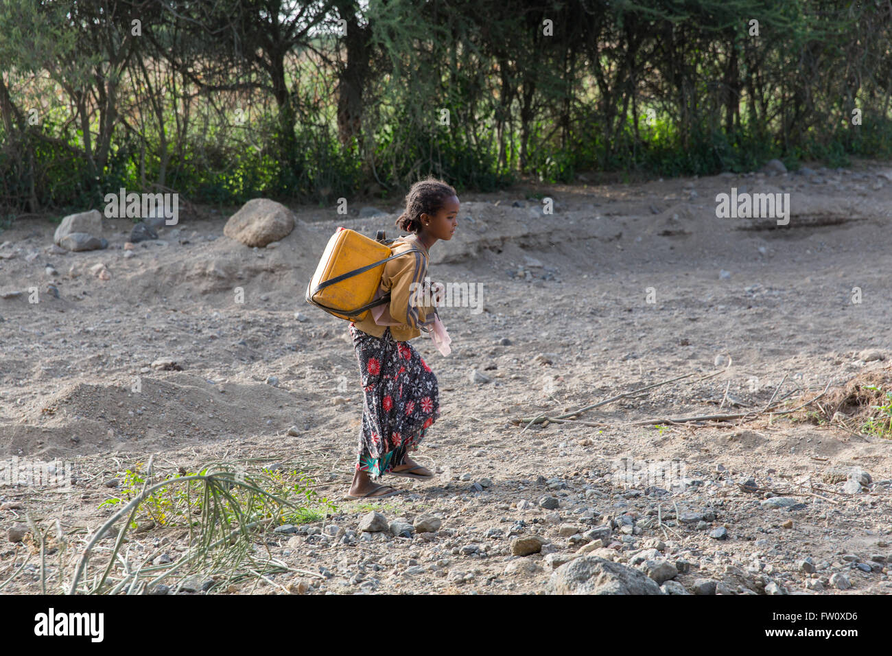 Il lago di Langano, Etiopia, ottobre 2013 Lomi Aman, 9, porta acqua 1.5km home ogni giorno. Lei va a scuola di mattina. Foto Stock