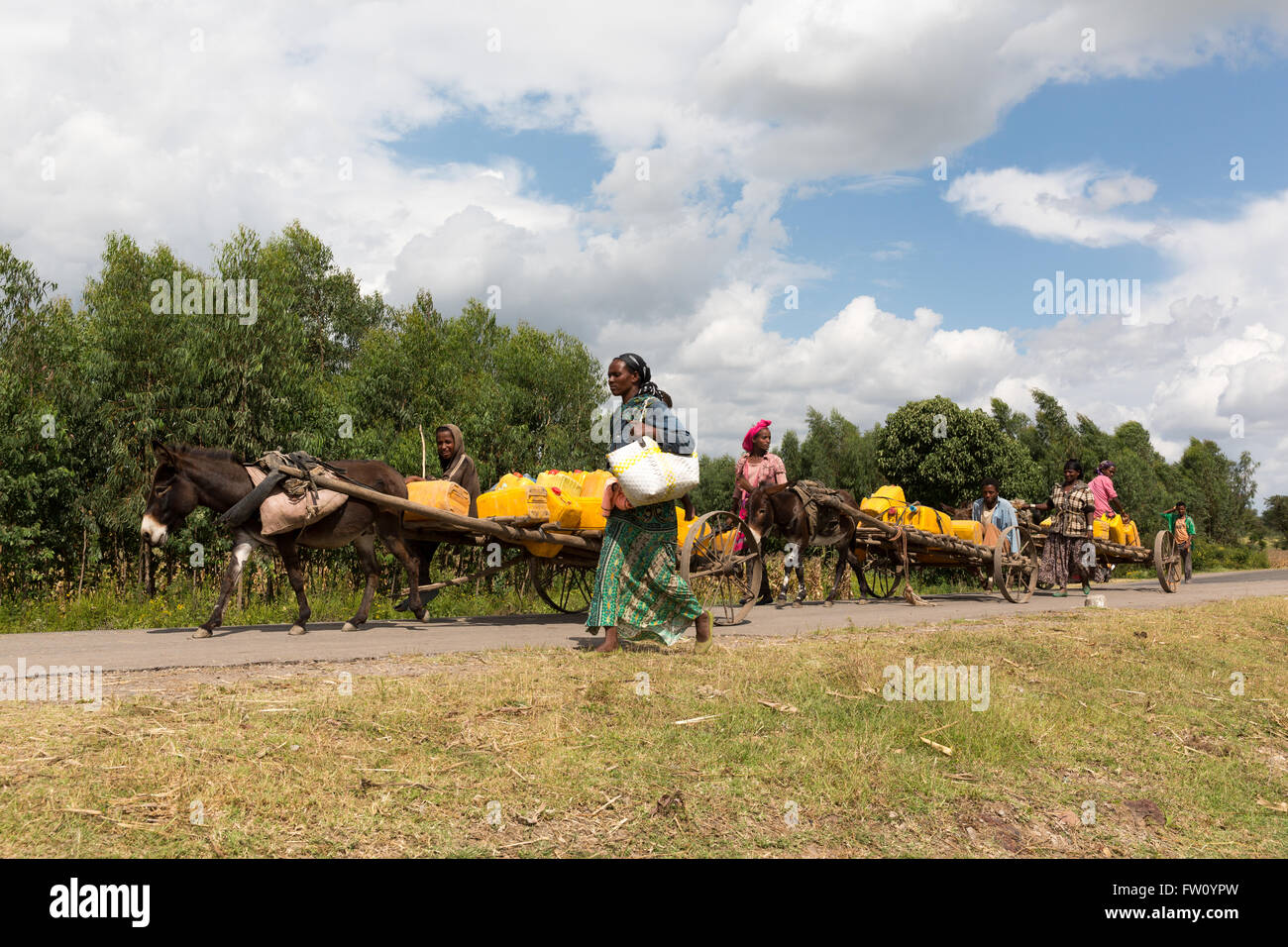 Ziway - Gurage Road, Etiopia, ottobre 2013 persone in un arco di tempo di dieci ore di viaggio di andata e ritorno per prendere l'acqua. T Foto Stock