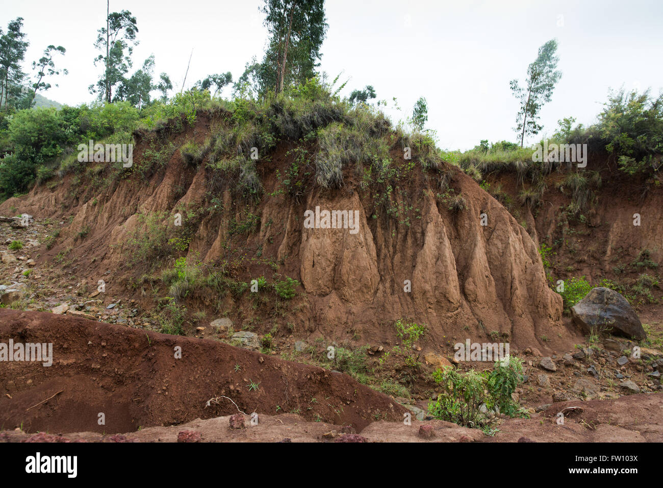 Gurage, Etiopia, ottobre 2013 grave erosione a causa di una cattiva gestione della terra lungo la parzialmente completato una nuova strada nella zona. Foto Stock