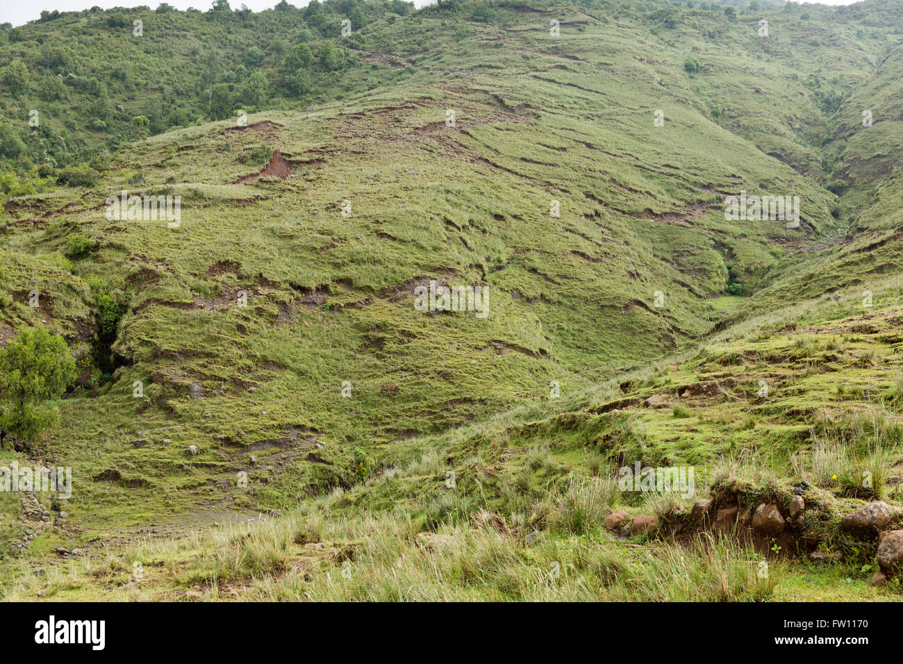 Villaggio Gibi, Gurage, Etiopia, ottobre 2013 questa collina è fortemente eroso a causa della deforestazione e sfruttamento eccessivo dei pascoli. Foto Stock