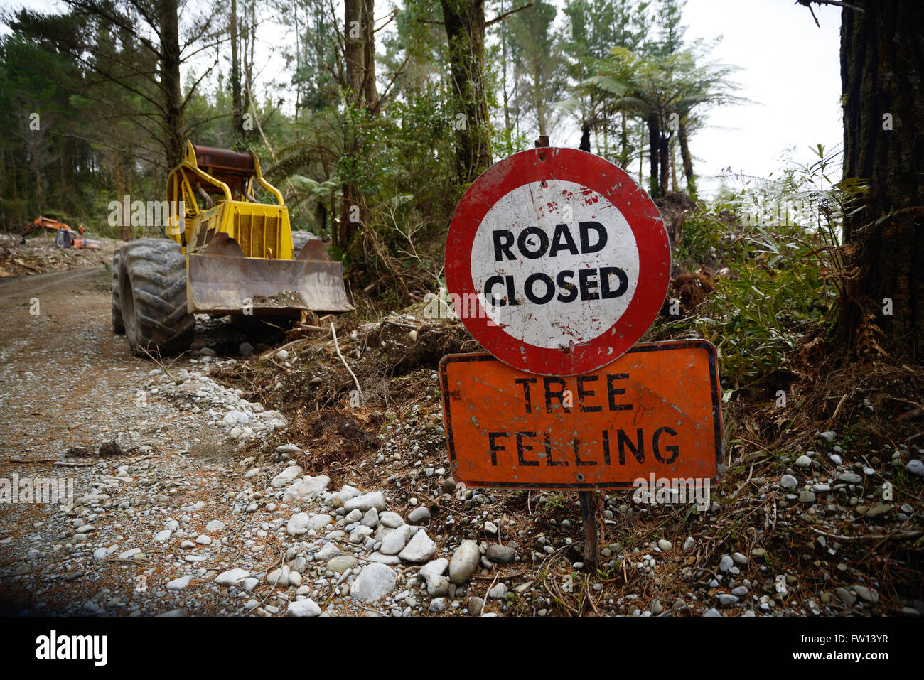 Digital Signage avverte di abbattimento di alberi in corrispondenza di un sito di fresatura nella foresta esotica sulla costa ovest della Nuova Zelanda Foto Stock