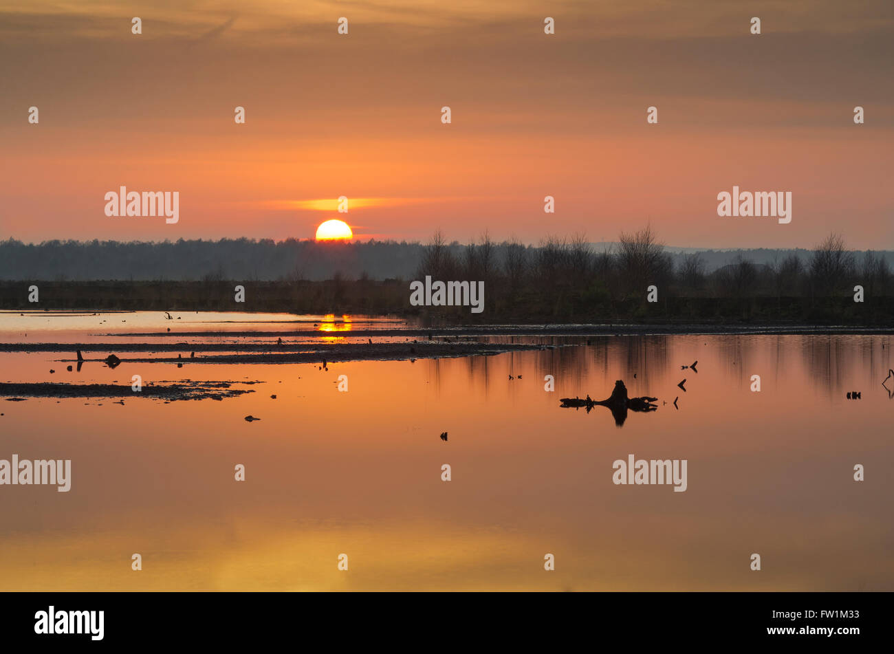 Brughiere, bog lago a sunrise, Neustadt am Rübenberge, Regione di Hannover, Bassa Sassonia, Germania Foto Stock
