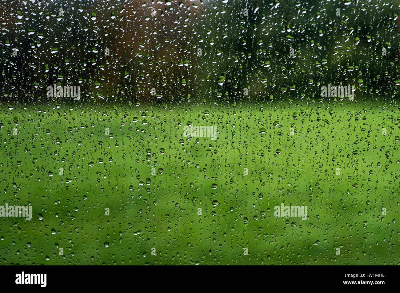 Pioggia finestra striate guardando fuori. Foto Stock