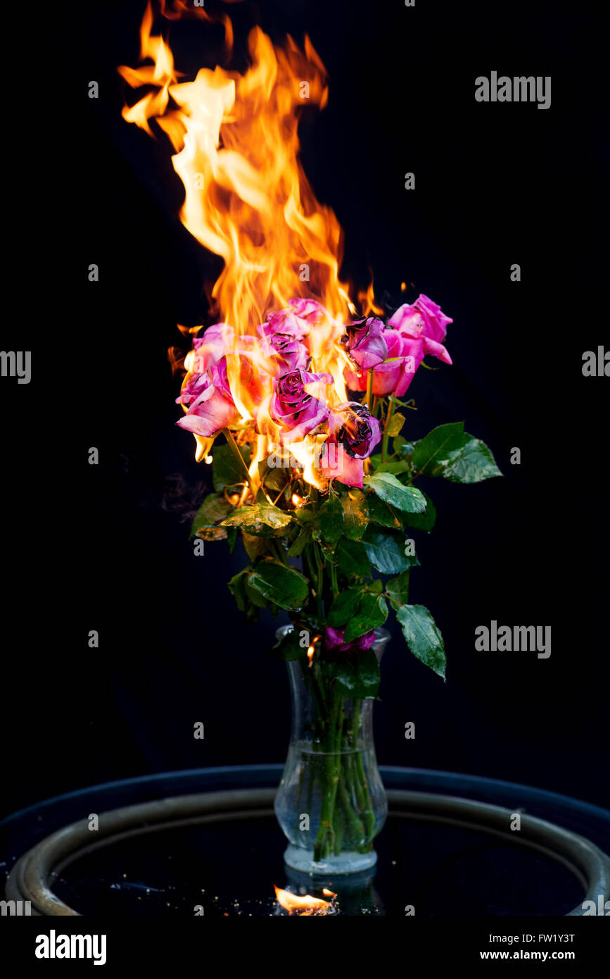 È finita! Bouquet di rose rosa in vaso sul fuoco per il concetto di fine di un rapporto Foto Stock