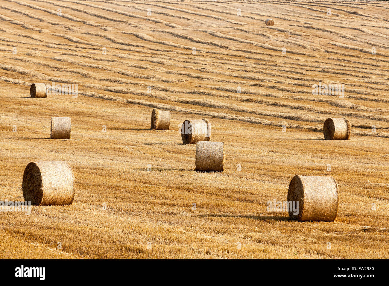 Haystacks in un campo di paglia Foto Stock