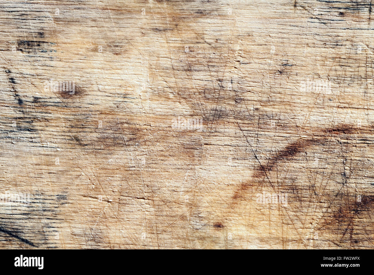 Texture di sfondo legno closeup Foto Stock