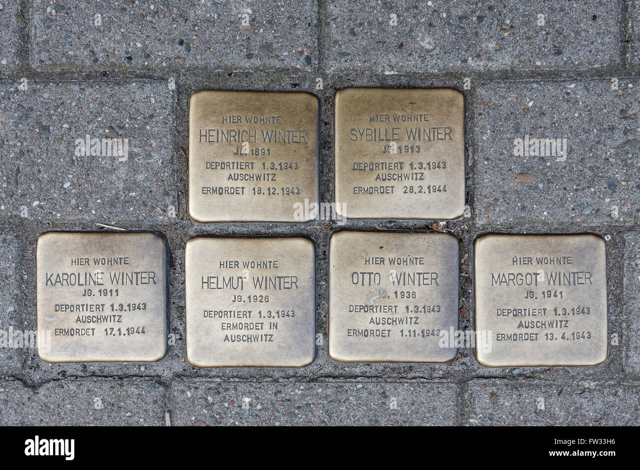 Stolpersteine, scogli, ciottoli dimensioni memoriali per ebrei vittime del nazismo, Osnabrück, Bassa Sassonia, Germania Foto Stock